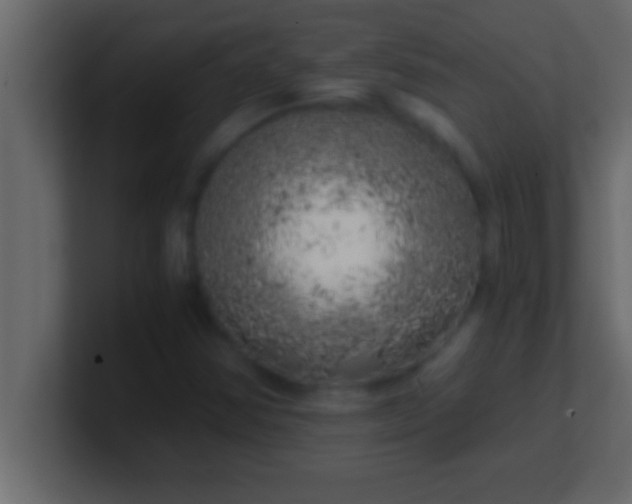 X0000100761354200807031141