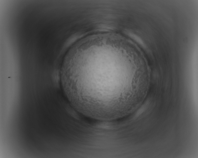 X0000100761355200807031141