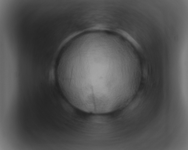 X0000100761356200807031141