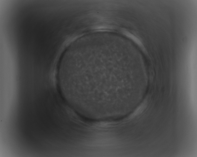 X0000100761357200807031141