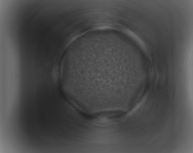 X0000100761361200807031141