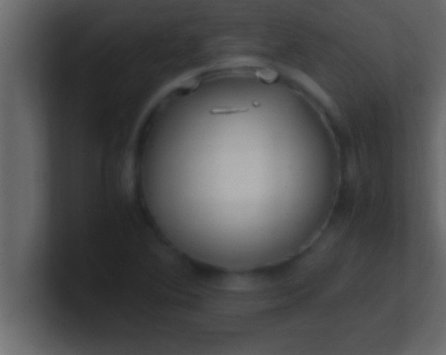 X0000100761364200807031141