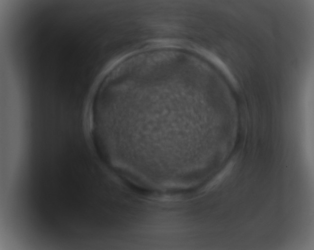 X0000100761365200807031141