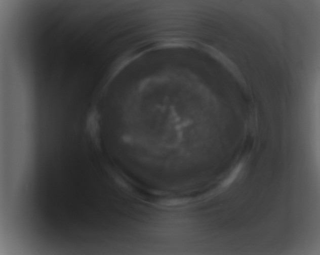 X0000100761369200807031141