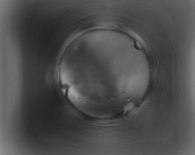 X0000100761371200807031141