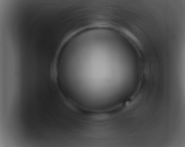 X0000100761372200807031141