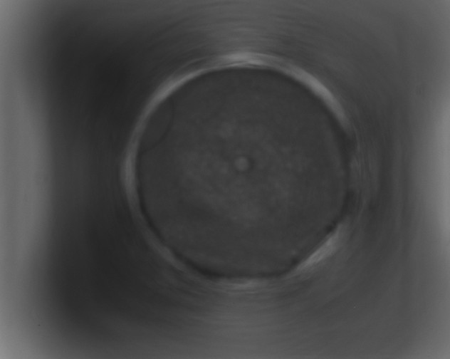 X0000100761373200807031141