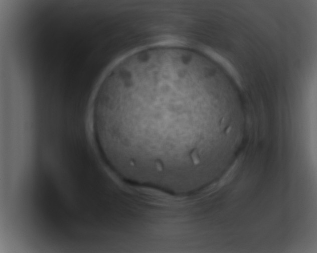 X0000100761375200807031141