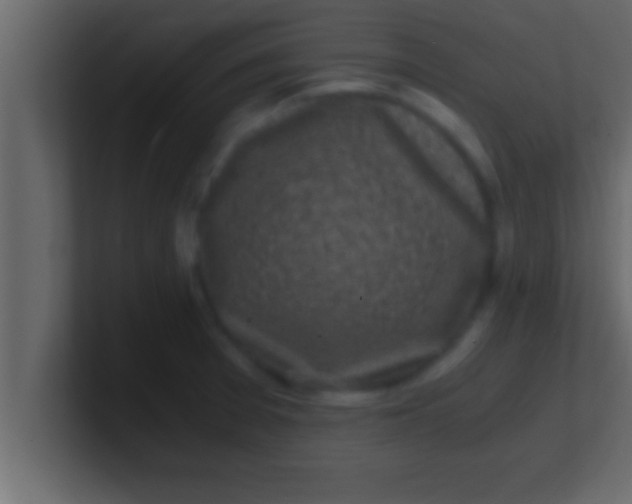 X0000100761377200807031141