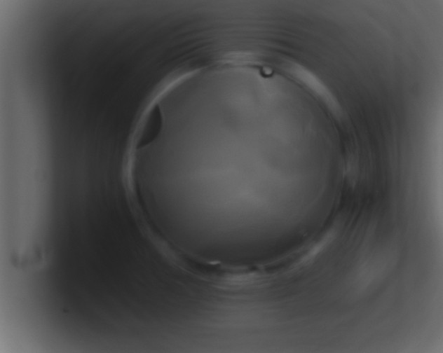 X0000100761378200807031141