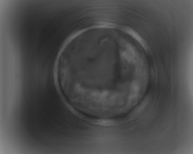 X0000100761379200807031141