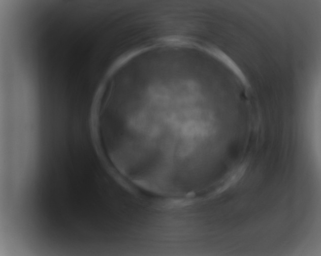 X0000100761381200807031141