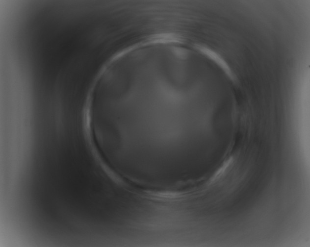 X0000100761383200807031141