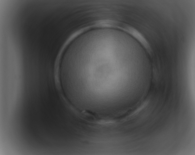 X0000100761384200807031141