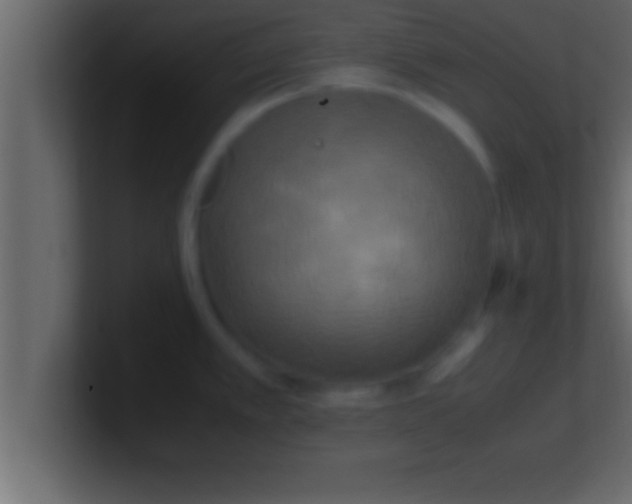 X0000100761389200807031141