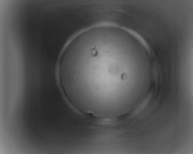 X0000100761390200807031141