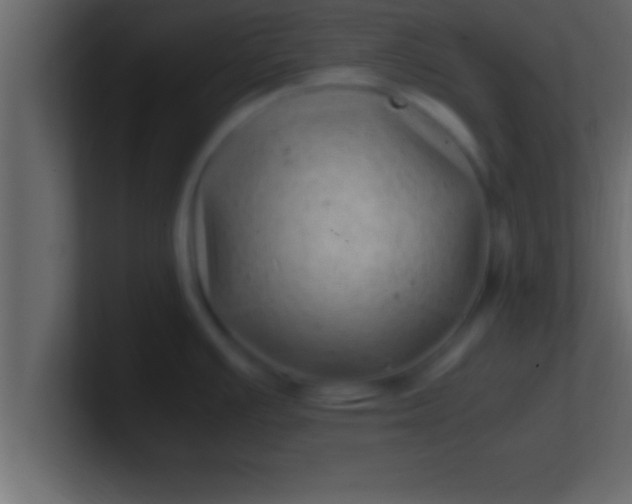 X0000100761391200807031141