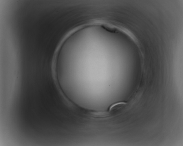 X0000100761392200807031141