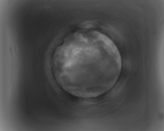 X0000100761393200807031140