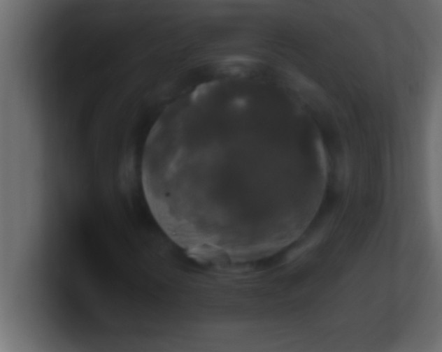 X0000100761394200807031140