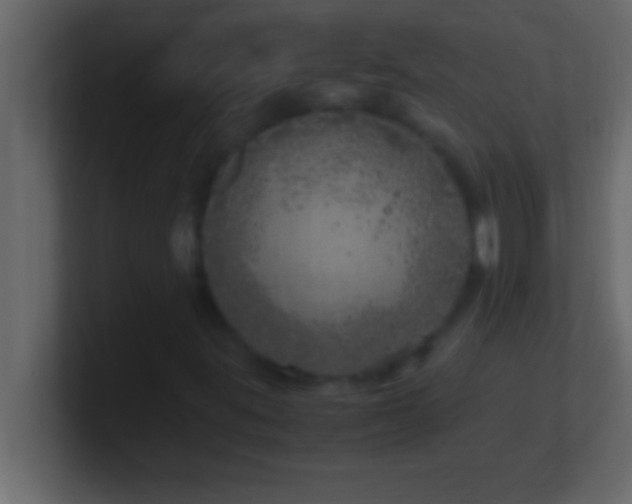 X0000100761395200807031140