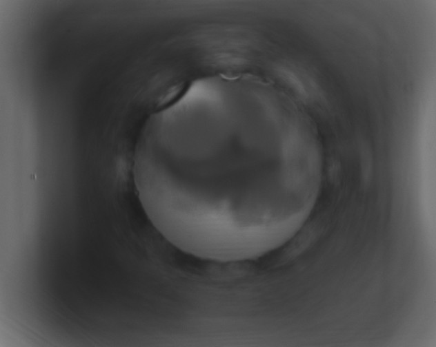 X0000100761397200807031140