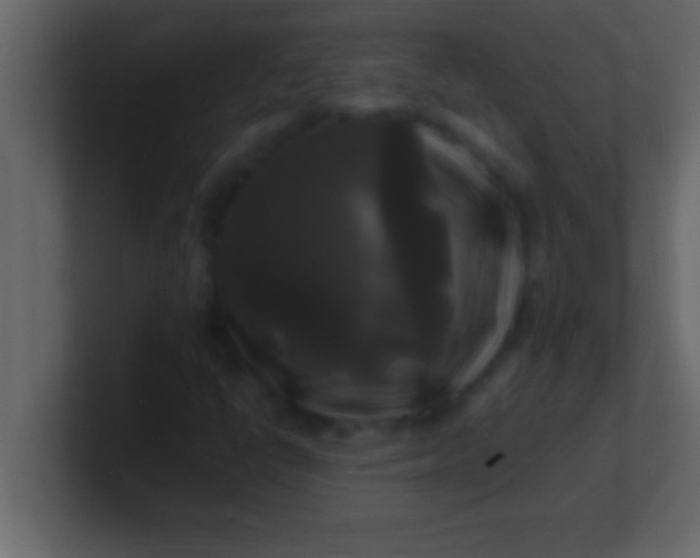 X0000100761398200807031140