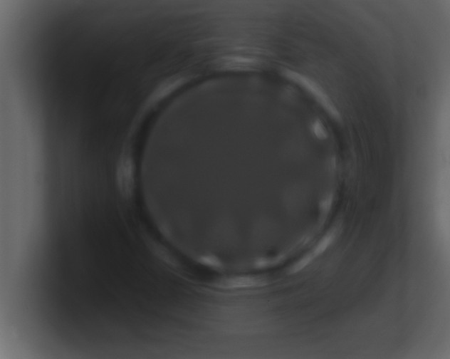 X0000100761402200807031140