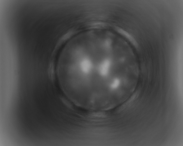 X0000100761403200807031140