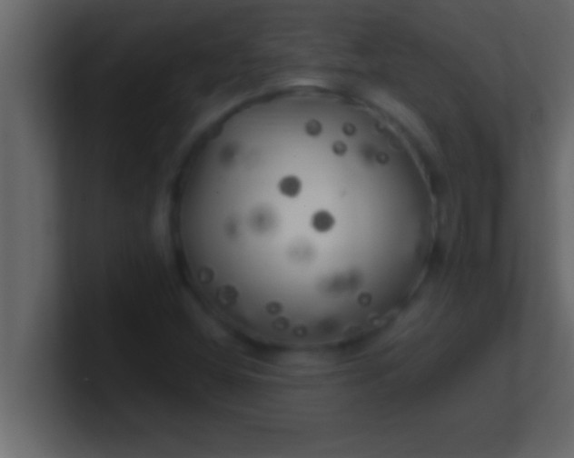 X0000100761404200807031140