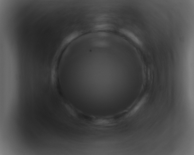 X0000100761405200807031140