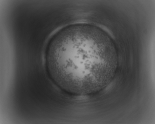 X0000100761406200807031140