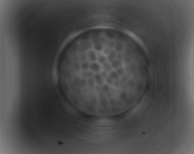 X0000100761408200807031140