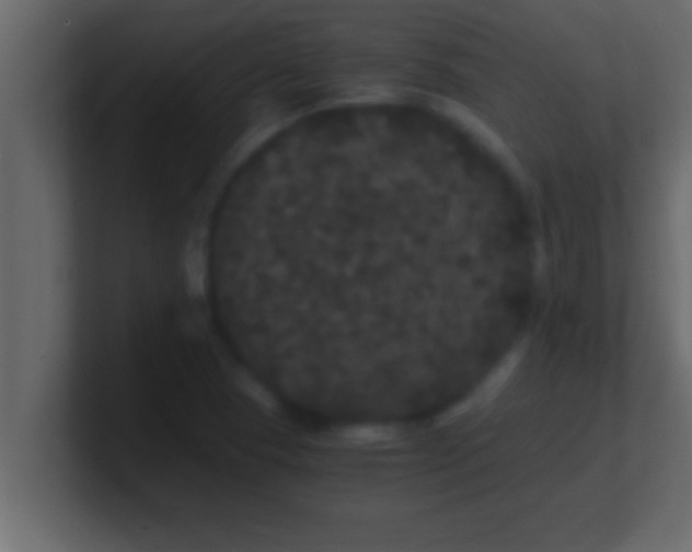 X0000100761409200807031140