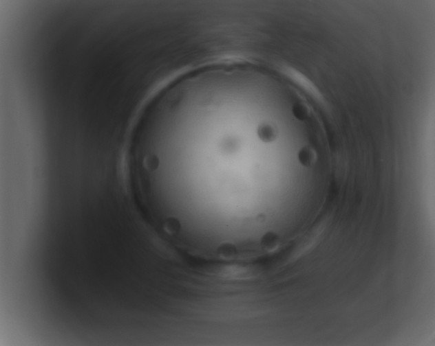 X0000100761412200807031140