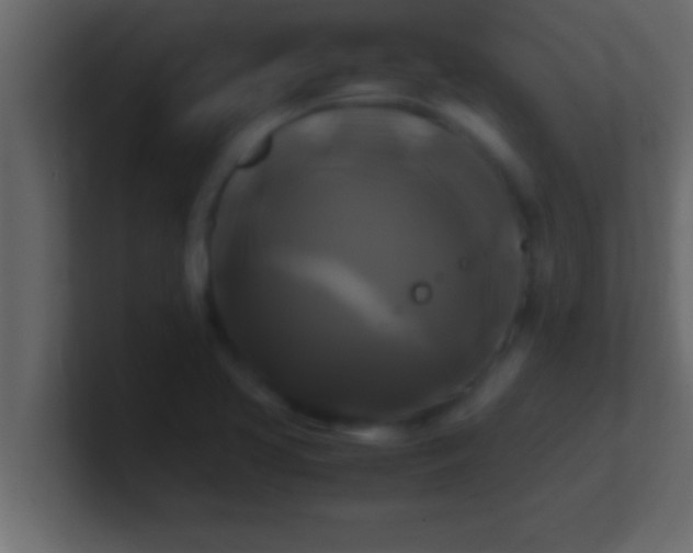 X0000100761413200807031140