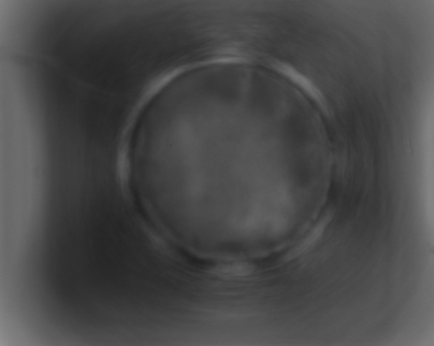 X0000100761415200807031140