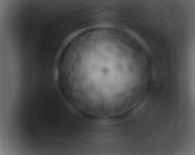 X0000100761416200807031140