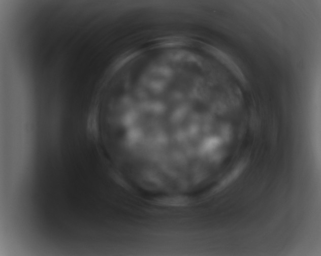 X0000100761417200807031140