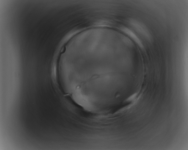 X0000100761419200807031140