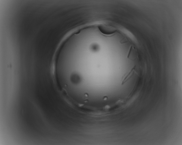 X0000100761420200807031140