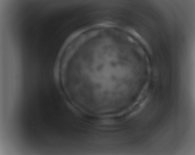 X0000100761421200807031140