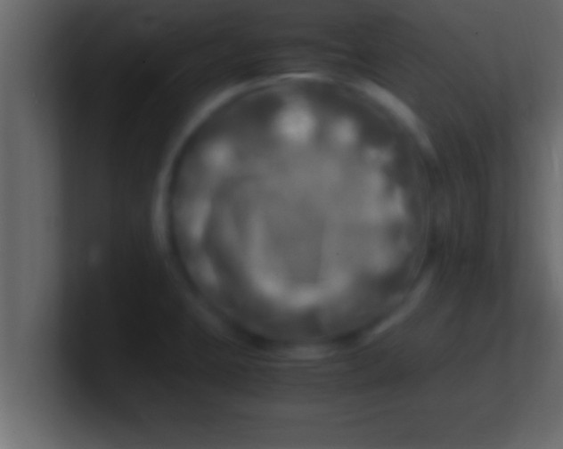 X0000100761423200807031140