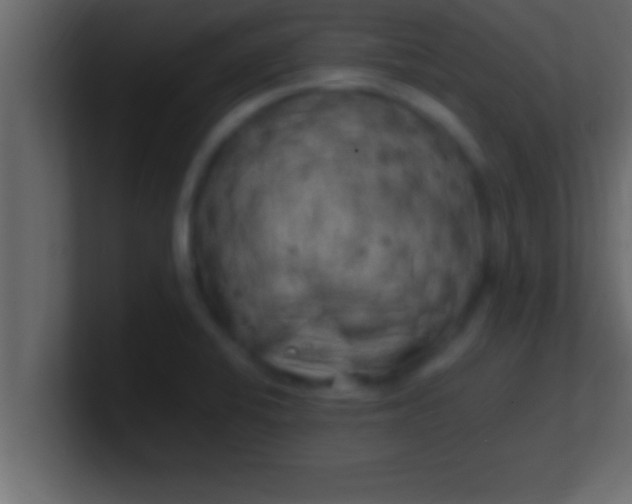 X0000100761424200807031140