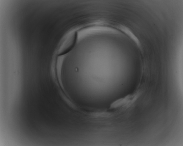 X0000100761429200807031140