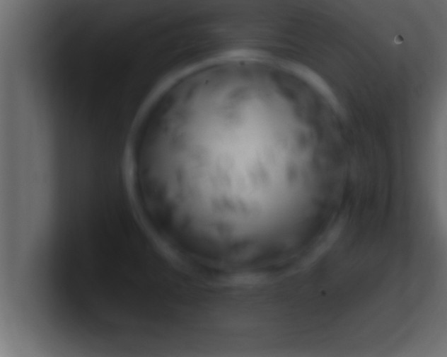 X0000100761430200807031140