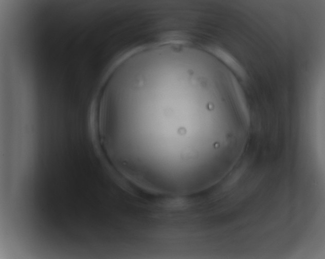 X0000100761431200807031140