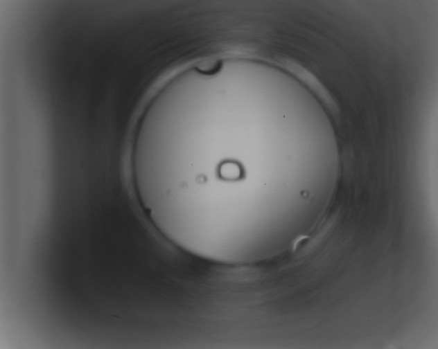 X0000100761432200807031140