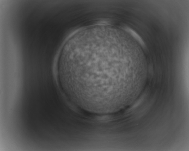 X0000100761435200807031141