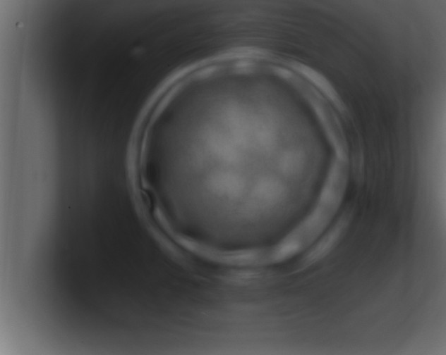 X0000100761438200807031141